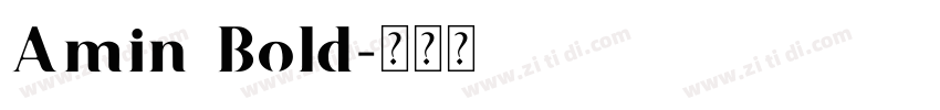 Amin Bold字体转换